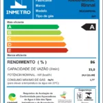 Aquecedor a Gás Rinnai E15 6